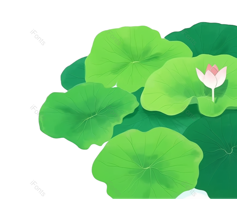 夏至图片,元素元素,清新PNG,荷花免抠素材
